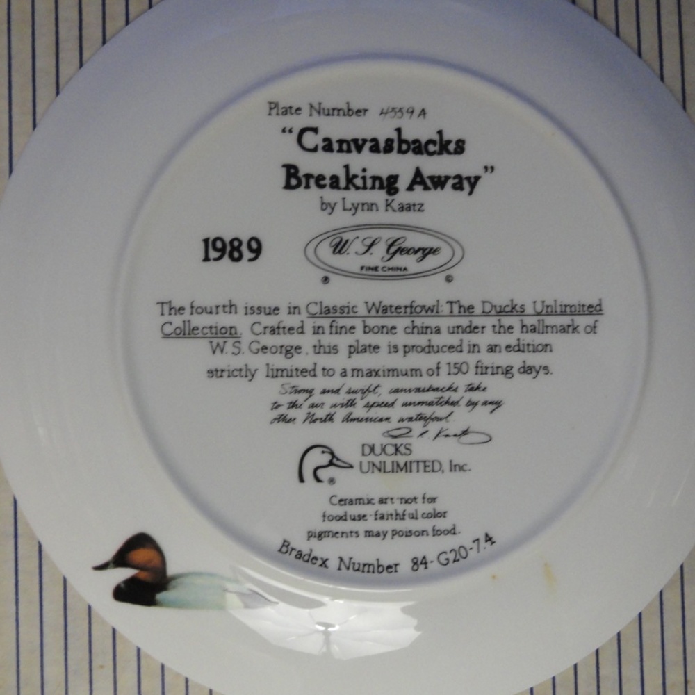 Hand Painted Plates - Picture 3 of 3